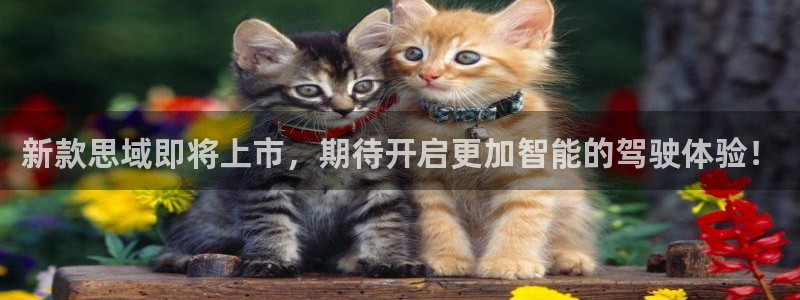 乐发最新版：新款思域即将上市，期待开启更加智能的驾驶体验！
