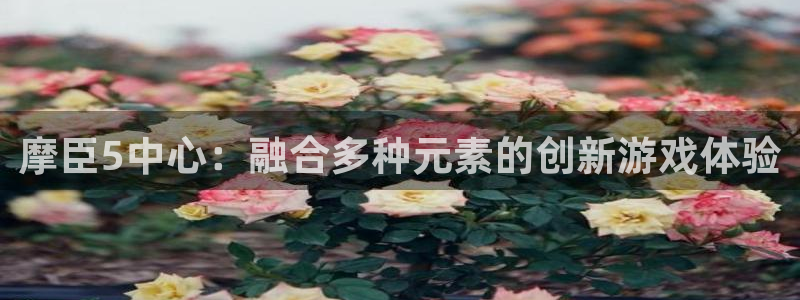 乐发app最新版下载：摩臣5中心：融合多种元素的创新游戏体验