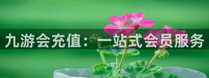 乐发ll500平台登录：九游会充值：一站式会员服务
