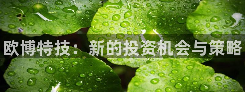 乐发ll500平台官方入口下载：欧博特技：新的投资机会与策略