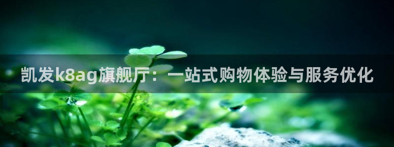 乐发welcome入口：凯发k8ag旗舰厅：一站式购物体验与服务优化