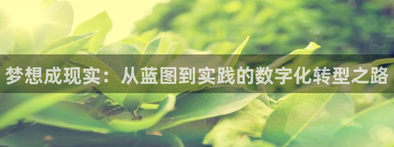 乐发彩app下载：梦想成现实：从蓝图到实践的数字化转型之路
