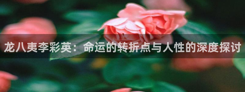 乐发ll500的平台：龙八夷李彩英：命运的转折点与人性的深度探讨