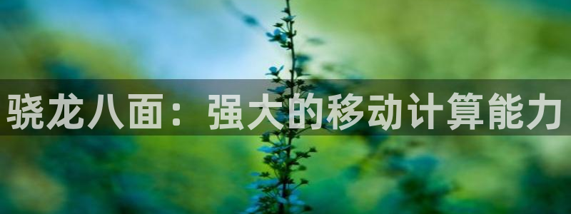 乐发ll500.ccm苹果版：骁龙八面：强大的移动计算能力