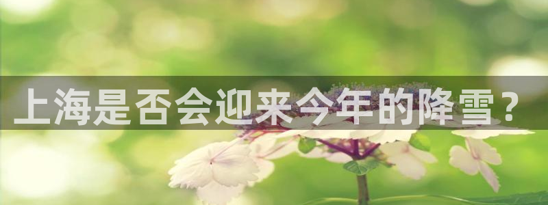 乐发ll500下载二维码：上海是否会迎来今年的降雪？