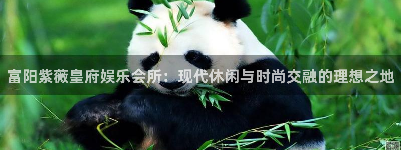 乐发ll500是正规平台吗：富阳紫薇皇府娱乐会所：现代休闲与时尚交融的理想之地