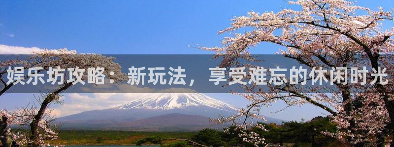 乐发传媒最新消息：娱乐坊攻略：新玩法，享受难忘的休闲时光