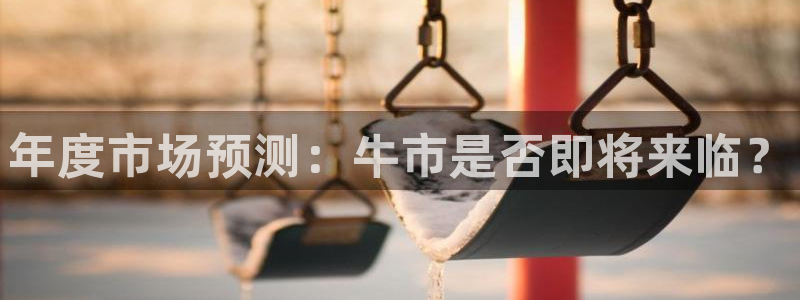 乐发ll500平台官方入口：年度市场预测：牛市是否即将来临？