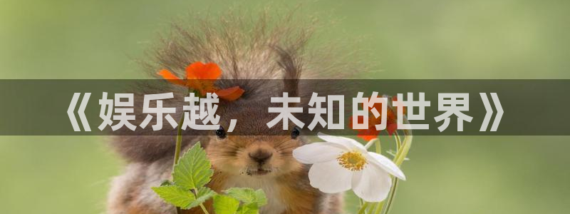 壹号大舞台下载链接：《娱乐越，未知的世界》