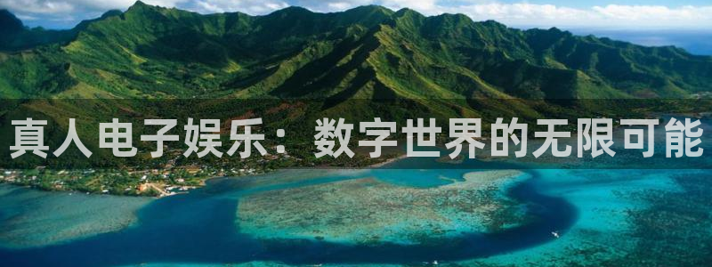 沧州乐发汽车运输有限公司：真人电子娱乐：数字世界的无限可能