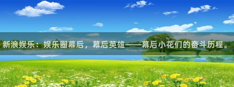 真乐发：新浪娱乐：娱乐圈幕后，幕后英雄——幕后小花们的奋斗历程。