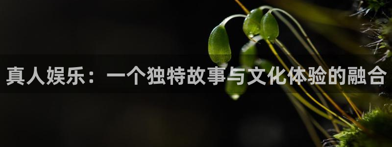 乐发ll500游app：真人娱乐：一个独特故事与文化体验的融合