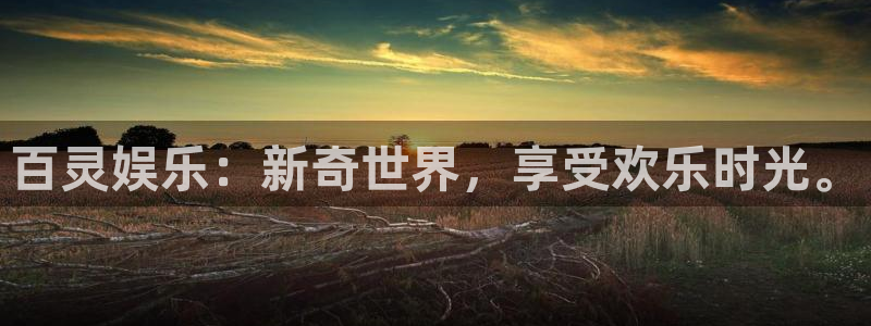 壹号大舞台官网入口：百灵娱乐：新奇世界，享受欢乐时光。