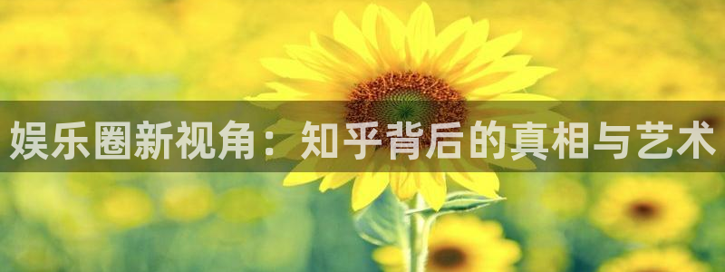 壹号电子娱乐app下载最新版本安装：娱乐圈新视角：知乎背后的真相与艺术