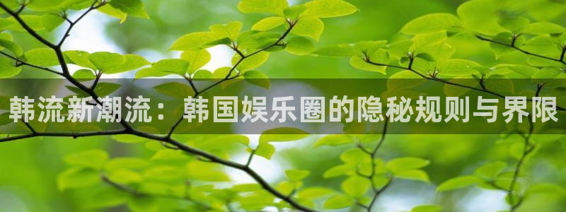 乐发ll500网站：韩流新潮流：韩国娱乐圈的隐秘规则与界限